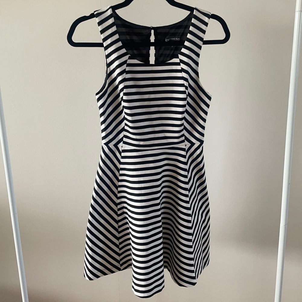 Express Striped Flare Dress